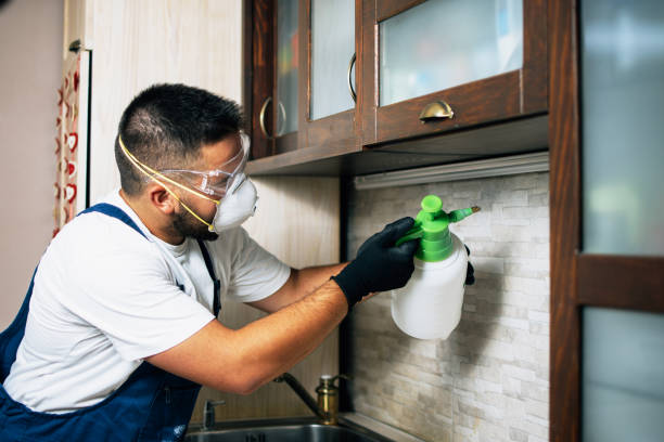 Best Flea Control Services  in Arbutus, MD
