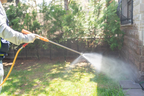 Best Pest Removal Services  in Arbutus, MD