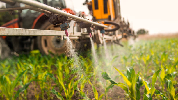 Best Commercial Pest Control Services  in Arbutus, MD